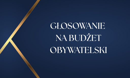 Zdjęcie do BUDŻET OBYWATELSKI