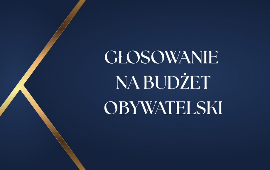 Głosowanie na projekt „Dwójkowy Plac Zabaw” w budżecie obywatelskim od 7 do 11 września